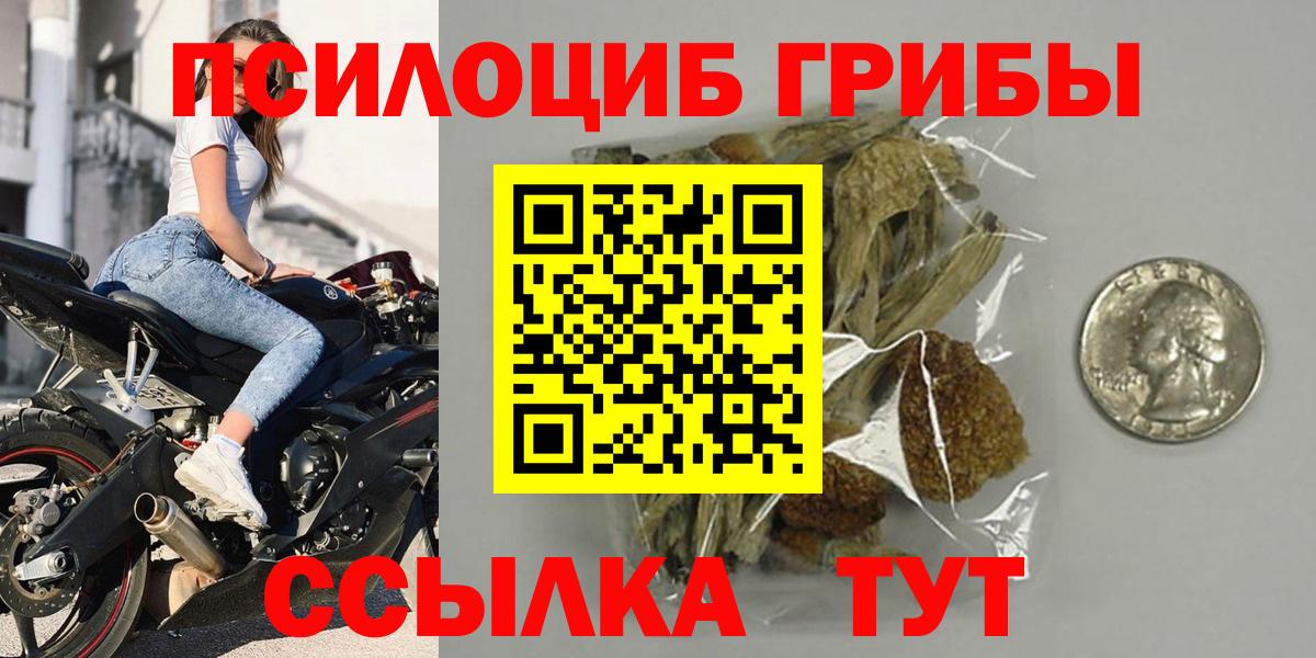 Псилоцибиновые грибы мицелий Изобильный